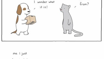 Itu namanya bukan pemberian dong, tapi emang barang yang dia beli baru tiba. Foto: (Dok. Bored Panda).