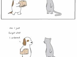 Kalau Bisa Ngomong, Mungkin Percakapan Antar Hewan Seperti Ini