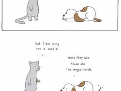 Kalau Bisa Ngomong, Mungkin Percakapan Antar Hewan Seperti Ini