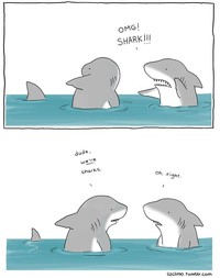 Seorang kartunis asal Amerika, Liz Climo, membuat ilustrasi binatang yang menggemaskan. Ia membuat komik, dengan membayangkan bagaimana para hewan berinteraksi sehari-harinya.