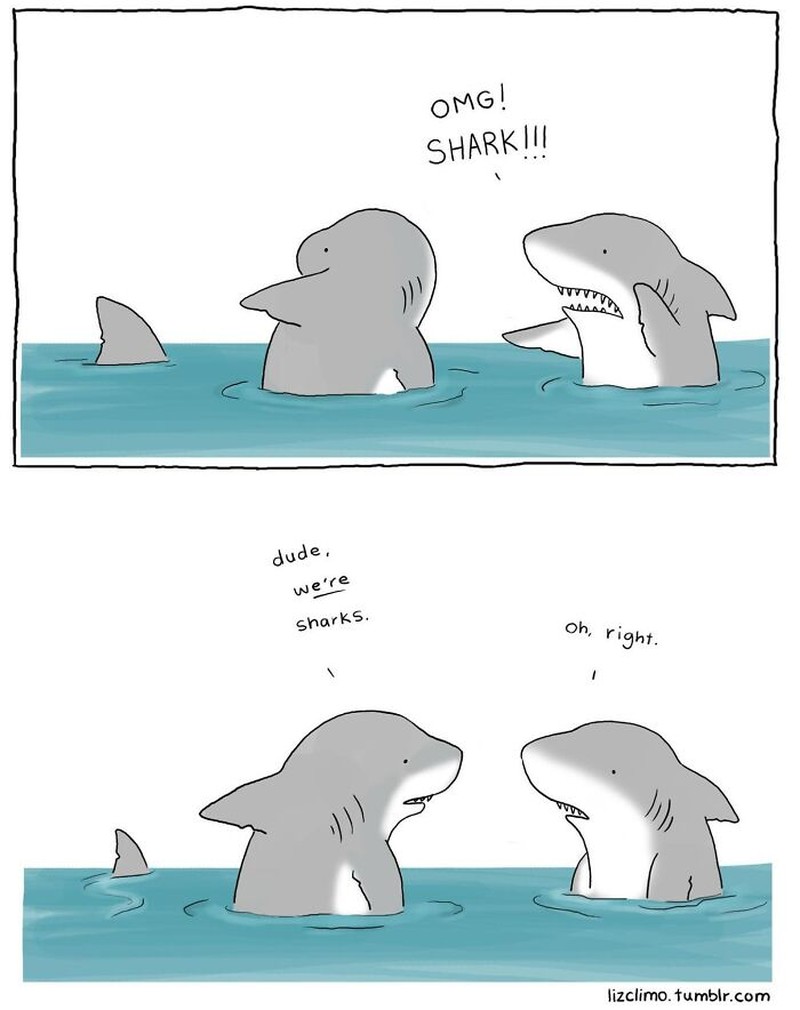 Seorang kartunis asal Amerika, Liz Climo, membuat ilustrasi binatang yang menggemaskan. Ia membuat komik, dengan membayangkan bagaimana para hewan berinteraksi sehari-harinya.