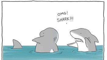 Saat hiu lupa dengan statusnya sendiri. Foto: (Dok. Bored Panda).