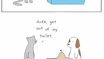 Sepertinya dia lupa kalau satu rumah dengan seekor kucing. Foto: (Dok. Bored Panda).