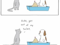 Kalau Bisa Ngomong, Mungkin Percakapan Antar Hewan Seperti Ini