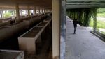 Pasar Modern Rp 60 M Terbengkalai di Pulau Bacan