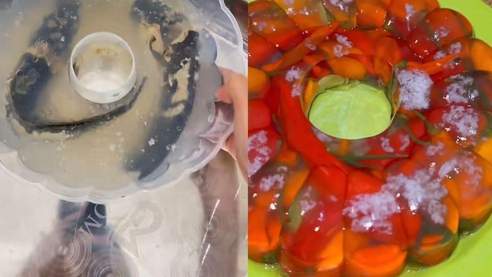 Kreasi Agar-Agar Ekstrem ala TikToker Ini, Pakai Cabe hingga Lele