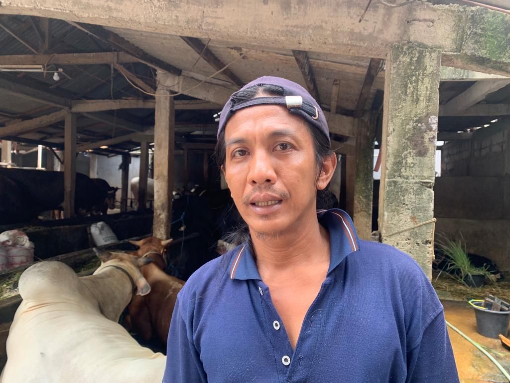 Pemilik peternakan sapi di Cikoko, Pancoran, Burhan.