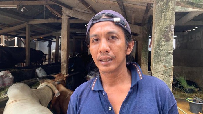 Pemilik peternakan sapi di Cikoko, Pancoran, Burhan.