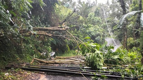 Hujan deras mengguyur Gianyar sepanjang hari, Sabtu (1/7/2023). Akibatnya, pohon tumbang dan tiang listrik roboh di beberapa wilayah.