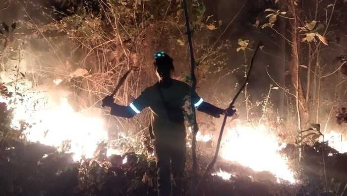 Potret kebakaran lahan-semak di area hutan Gunung Pegat Klaten, Sabtu (1/7/2023). Api dilaporkan muncul pukul 18.00 WIB dan berhasil dipadamkan pukul 20.00 WIB.