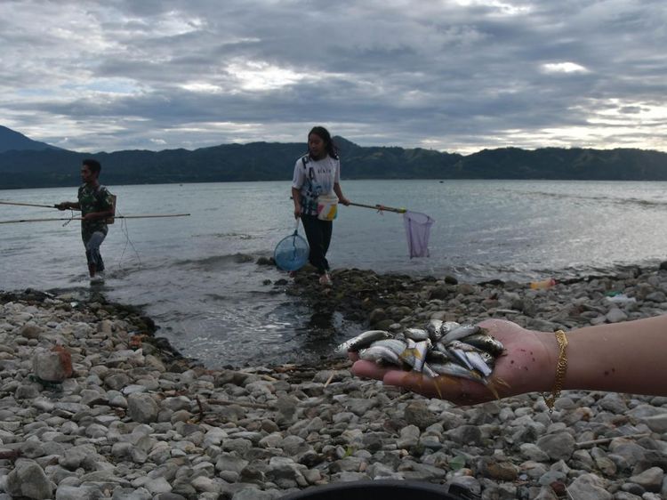 Angin Kencang Membawa Berkah di Danau Singkarak