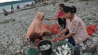 Sejumlah warga menangkap ikan di Danau Singkarak usai angin kencang di Kabupaten Tanah Datar, Malalo, Sumatera Barat, Sabtu (1/7/2023).
