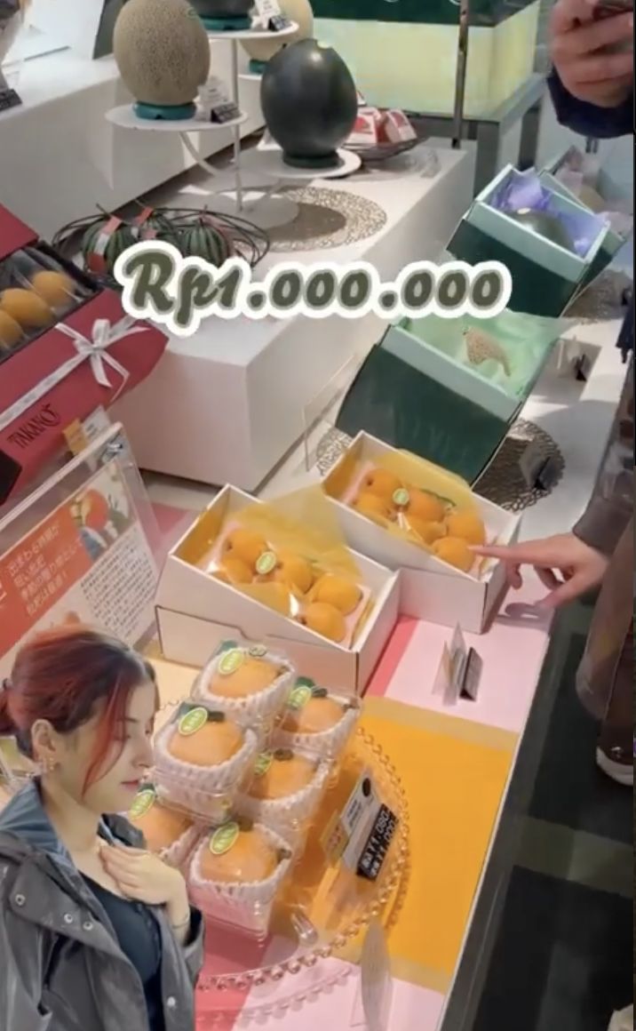 Belanja Buah Sultan di Jepang, Tasya Farasya Habiskan Belasan Juta!