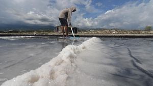 Harga Garam di Palu Meroket Tajam
