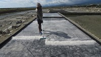 Petani memanen garam di Penggaraman Talise di Palu, Sulawesi Tengah, Sabtu (1/7/2023).