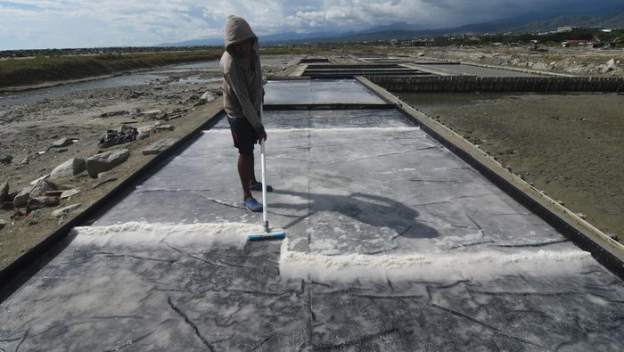 Harga garam di Palu naik tajam Petani memanen garam di Penggaraman Talise di Palu, Sulawesi Tengah, Sabtu (1/7/2023). Harga garam di tempat tersebut naik tajam dari Rp150 ribu per karung menjadi Rp500 ribu per karung untuk garam konsumsi dan Rp100 ribu per karung menjadi Rp350 ribu per karung untuk garam pupuk karena dipicu kurangnya stok garam. ANTARA FOTO/Mohamad Hamzah/aww.