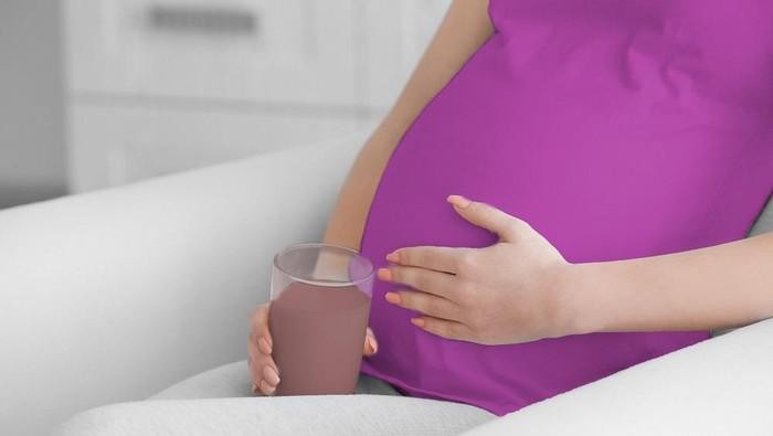 Ilustrasi Protein Harian Ibu Hamil