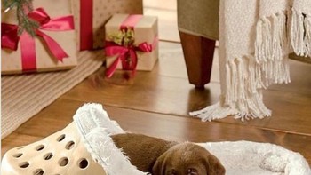 Kasur anjing berbentuk sendal Crocs. Foto: Brightside