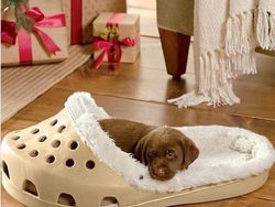 Deretan Benda dengan Desain Unik, Bikin Geleng-geleng Kepala