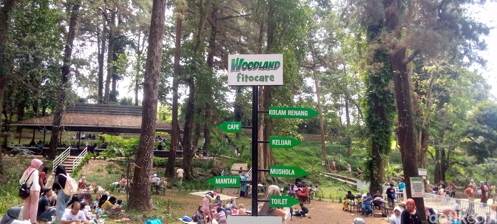 Objek wisata Woodland Kuningan jadi tempat favorit wisatawan untuk menghabiskan waktu liburan.