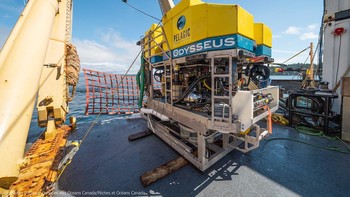 Untuk membantu pencarian, perusahaan Pelagic Research Services yang berbasis di Massachusetts dihubungi oleh OceanGate, perusahaan pemilik Titan, untuk penggunaan kendaraan bawah air yang dioperasikan dari jarak jauh atau ROV (remotely operated vehicle). Nah, ROV ini rupanya sangat besar jasanya.  Foto: Pelagic Research Services