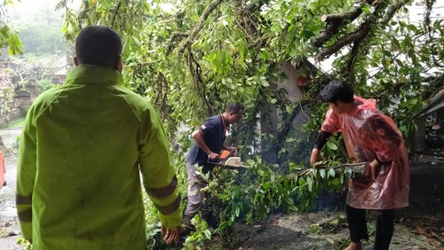 Proses pembersihan pohon tumbang yang menimpa garase di Banjar Babakan, Desa Cau Belayu, Kecamatan Marga, Minggu (2/7/2023). (istimewa)