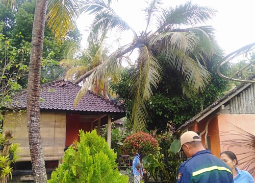 Rumah warga di Karangasem tertimpa pohon tumbang akibat diguyur hujan deras, Minggu (2/7/2023). (Dok. BPBD Kabupaten Karangasem)