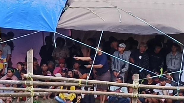 Tradisi adu kerbau atau Silaga Tedong di Tana Toraja jadi arena judi.