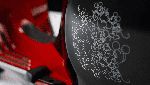 Imut-imut, Begini Tampang Vespa Edisi Mickey Mouse