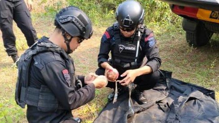 Satu ranjau darat aktif ditemukan warga ketika hendak menanam pisang di Cileungsi, Bogor, Jawa Barat. Tim penjinak bom Polda Jawa Barat diterjunkan untuk musnahkan ranjau aktif yang sempat dikira peluru meriam tersebut.