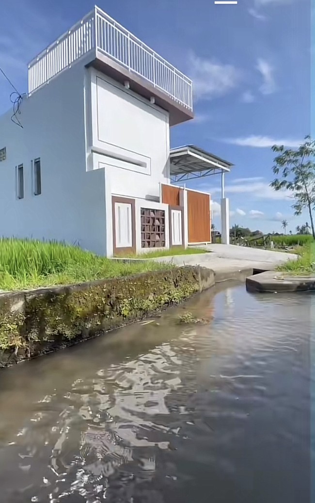 Selain pemandangan sawah, akun TikTok @maswindo_jombang mengunggah ada aliran air yang mengalir di dekat rumah yang menambah kesan asri. Bangunan rumah aesthetic ini tidak mempunyai tetangga di sekitarnya. Foto: Dok. TikTok @maswindo_jombang.