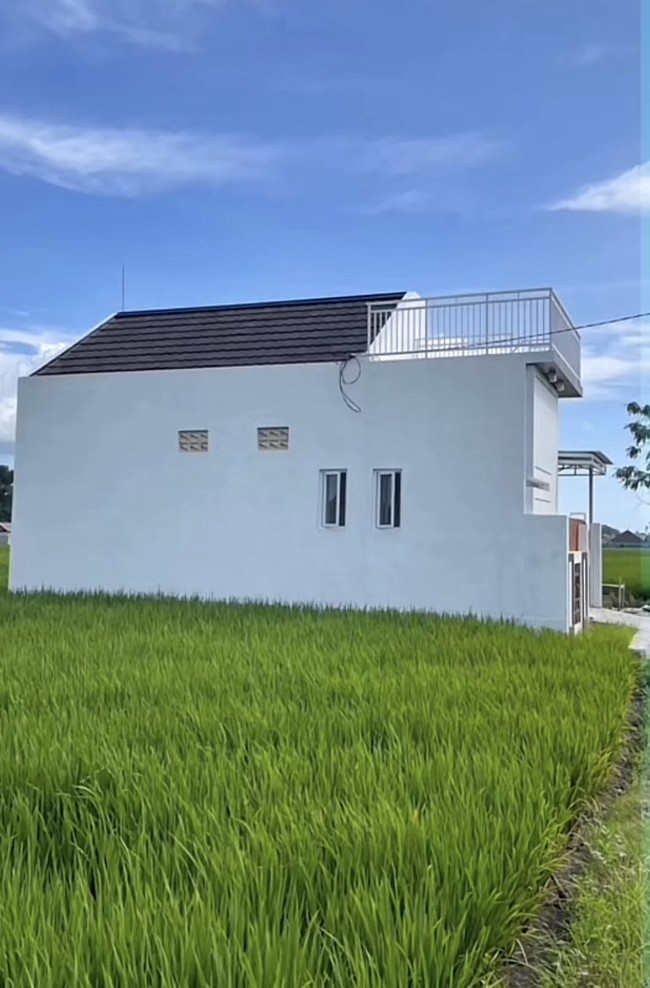 Setiap orang tentu ingin mempunyai hunian idaman yang nyaman dan dekat dengan pusat kota. Namun berbeda dengan bangunan rumah ini yang mendadak viral di TikTok karena berada tepat di tengah sawah.  Foto: Dok. TikTok @maswindo_jombang.