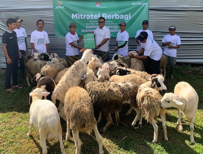 Baznas dan Mitratel Salurkan 3.467 Paket Daging Kurban