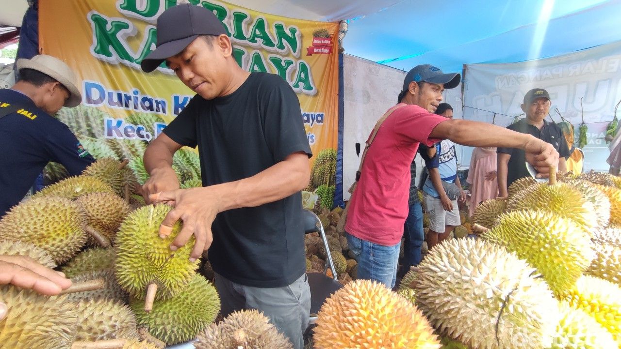 Durian Kalijaya Ciamis