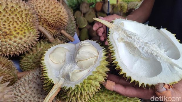 Durian Kalijaya