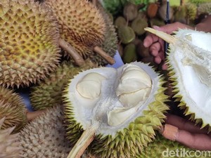 Si Mentega dan Si Roti, Jenis Durian Kalijaya yang Manis dari Ciamis
