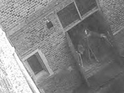 Berbagai Penampakan Hantu, dari Seram Sampai yang Konyol