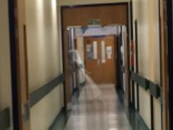 Berbagai Penampakan Hantu, dari Seram Sampai yang Konyol