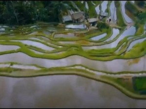 Filipina Comot Keindahan Sawah Bali untuk Video Promosi Pariwisata