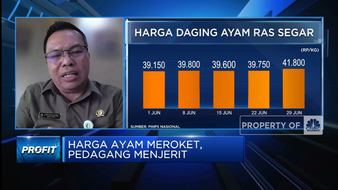 Jurus Bapanas Bikin Harga Daging Ayam “Wajar” Bagi Peternak & Pembeli (CNBC Indonesia TV)