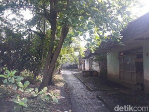 Mengintip Kampung Vietnam Jakarta, Penampakannya Bak di Film Horor