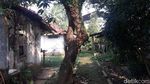Horor! Ada Kampung Mati Vietnam di Tengah Padatnya Jakarta