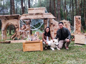 Unik! Ultah Anjing Ini Dirayakan Mewah Bak Pesta Manusia