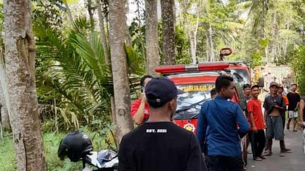 Koloni lebah madu menyerang warga Desa Jiwan, Kecamatan Karangnongko, Senin (3/7/2023).