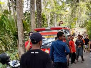 Belasan Warga Diamuk Lebah Madu, Damkar Klaten: Kasus Pertama