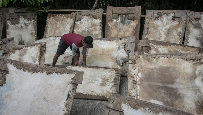 Raup Cuan dari Bisnis Kulit Kambing Perajin menjemur kulit kambing di desa Sonorejo, Sukoharjo, Jawa Tengah, Senin (3/7/2023). Kulit kambing untuk bahan baku kerajinan kaligrafi kulit tersebut dipasarkan ke Sukoharjo dan Klaten yang dijual dengan harga Rp30 ribu hingga Rp80 ribu per lembar. ANTARA FOTO/Mohammad Ayudha/aww.
