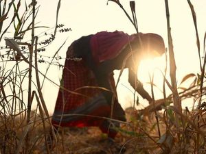 Cerita Wanita India Hadapi Gelombang Panas: Merasa Tercekik-Muntah