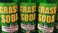 Pernah penasaran ingin mencoba rasa rumput? Sebuah produsen soda kemasan ini menyajikan soda dengan rasa rumput segar. Foto: Love Food