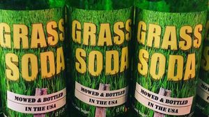 10 Minuman Soda Rasa Aneh yang Pernah Diproduksi, Berani Cicip?