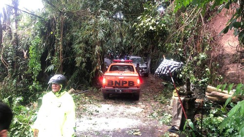 TRC BPBD Gianyar menangani pohon tumbang karena hujan deras, pada Minggu (2/7/2023).